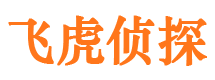 仪征市私家侦探